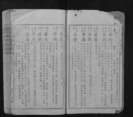 江西叶氏族谱-叶氏七修族谱.pdf电子版插图2