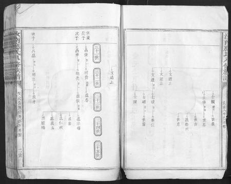 江西应氏族谱-汝南应氏八修族谱.pdf电子版插图2