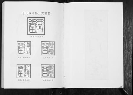 安徽于氏族谱-于氏家谱[不分卷].pdf电子版插图2