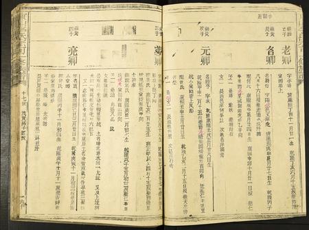 福建李氏族谱-东山李氏宗可一修族谱.pdf电子版插图2