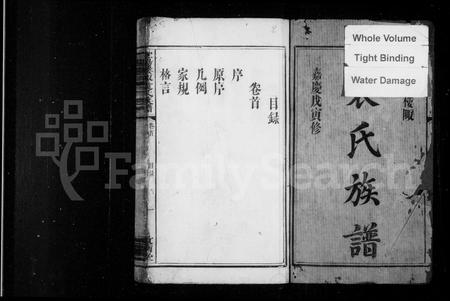 江西袁氏族谱-宜阳楼陬袁氏族谱 [2卷,首尾各1卷].pdf电子版插图2