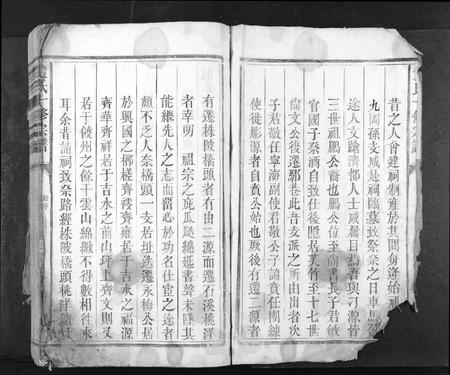 江西袁氏族谱-袁氏十修族谱[不分卷].pdf电子版插图2