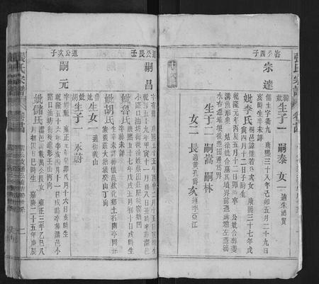 安徽张氏族谱-张氏宗谱.pdf电子版插图2