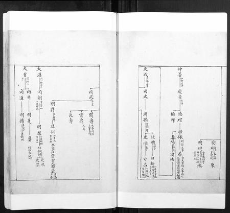 安徽张氏族谱-张氏宗谱[不分卷].pdf电子版插图2