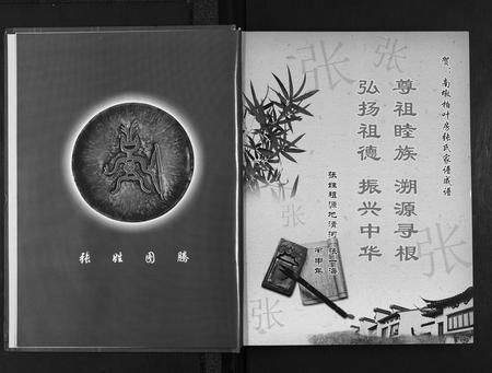 江西张氏族谱-南墩柏业房张氏家谱.pdf电子版插图2