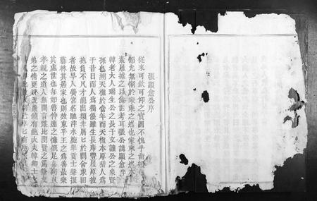 江西张氏族谱-南安四邑张续修族谱[不分卷].pdf电子版插图2