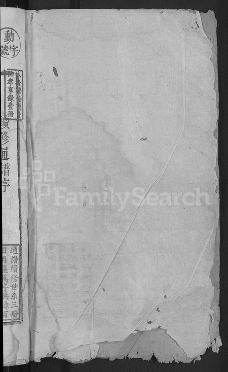 江西张氏族谱-古井张氏通谱 [不分卷].pdf电子版插图2