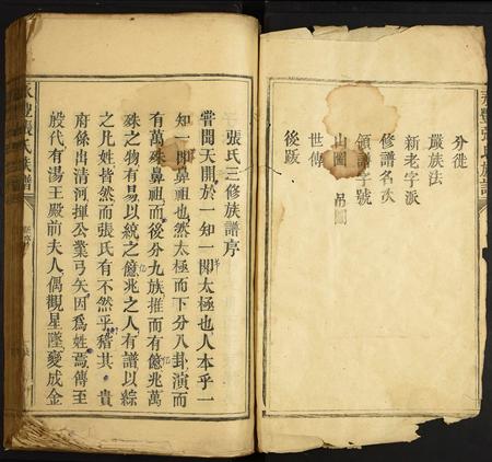 江西张氏族谱-永丰张氏族谱.pdf电子版插图2