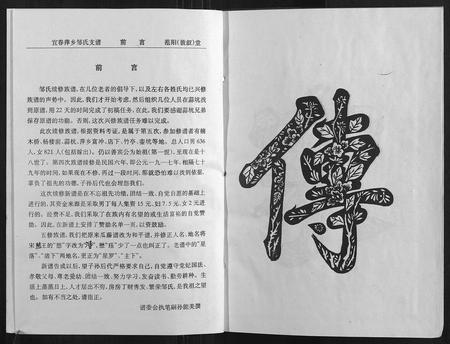 江西邹氏族谱-宜春萍乡邹氏支谱.pdf电子版插图2