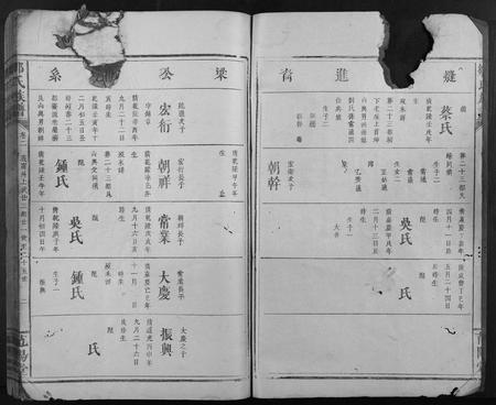 江西邹氏族谱-邹氏族谱.pdf电子版插图2