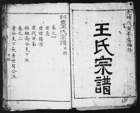 安徽王氏族谱-王氏宗谱 [4卷].pdf电子版插图2