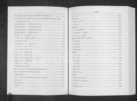 安徽王氏族谱-王氏族谱.pdf电子版插图2