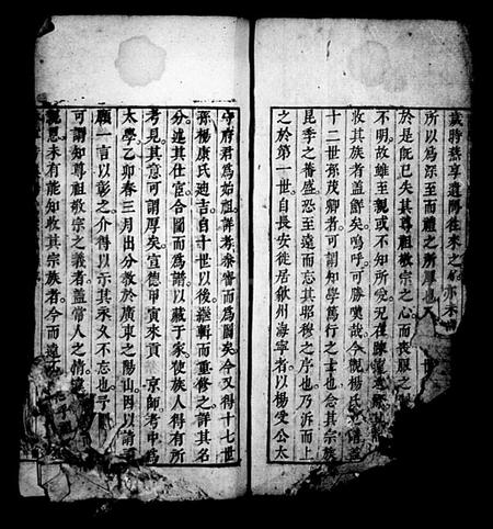 安徽杨氏族谱-新安芳溪杨氏宗支录(休宁芳溪杨氏宗支录).pdf电子版插图2
