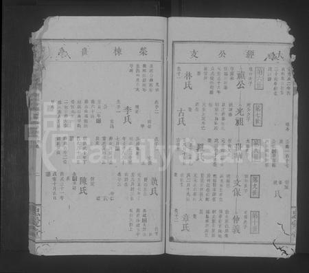 江西叶氏族谱-叶氏宗谱 [不分卷].pdf电子版插图2