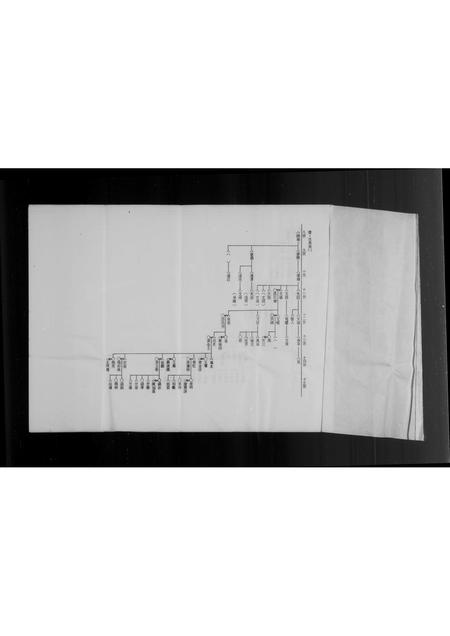 福建李氏族谱-泉州府双溪来台李氏家谱.pdf电子版插图2