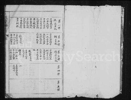 安徽俞氏族谱-俞氏草稿(龙溪俞氏家谱).pdf电子版插图2