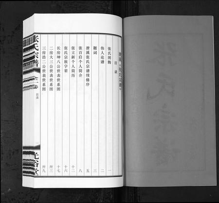 安徽张氏族谱-张氏宗谱 [全1卷](潦溪张氏宗谱).pdf电子版插图2