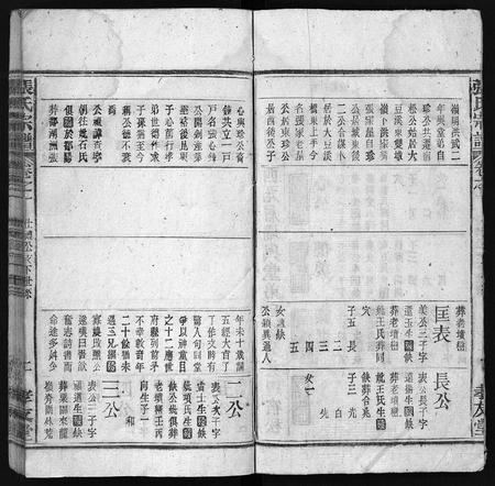 安徽张氏族谱-张氏宗谱[3卷,首1卷].pdf电子版插图2