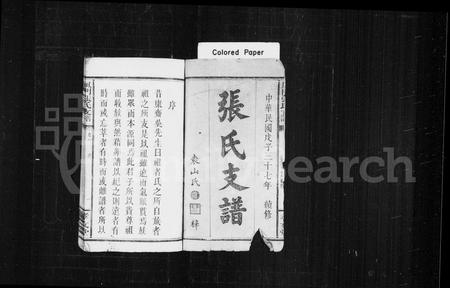 江西张氏族谱-张氏支谱 [4卷](凤门张氏支谱).pdf电子版插图2
