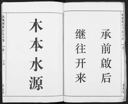 安徽朱氏族谱-姑孰横溪朱氏宗谱 [2卷].pdf电子版插图2