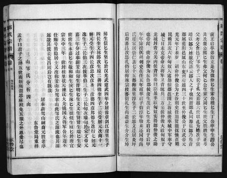 江西邹氏族谱-邹氏大成宗谱.pdf电子版插图2