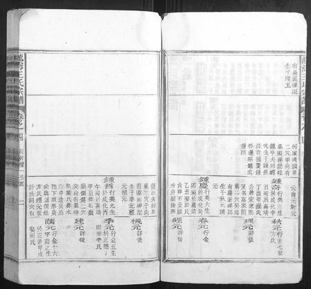 安徽王氏族谱-龙湾王氏宗谱.pdf电子版插图2