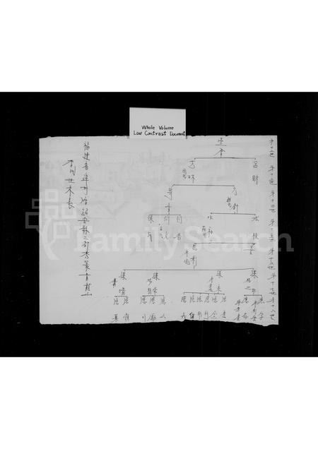 福建李氏族谱-李世世系表.pdf电子版插图2
