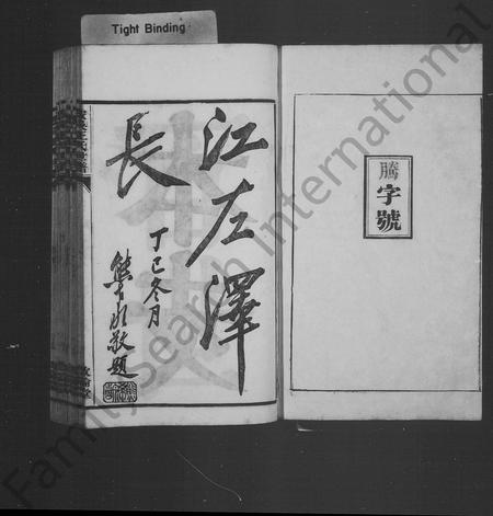 安徽王氏族谱-安吴王氏世谱.pdf电子版插图2