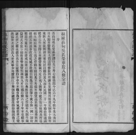 安徽吴氏族谱-高甸吴氏宗谱[91卷首1卷].pdf电子版插图2