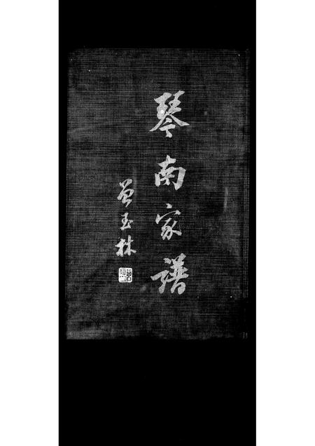 福建陈氏族谱-[陈氏]琴南家谱.pdf电子版插图2