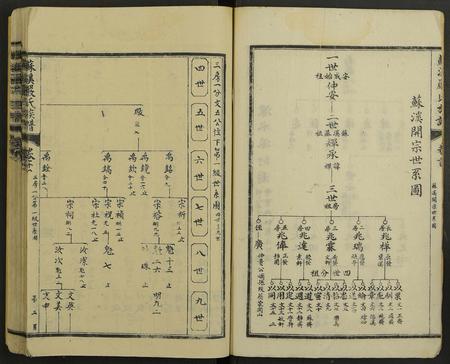江西严氏族谱-苏溪严氏族谱 [20卷及卷首].pdf电子版插图2