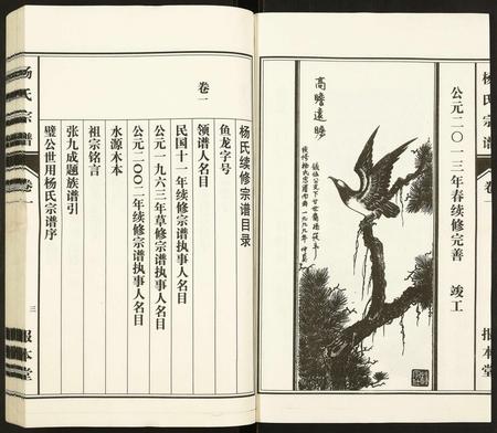 安徽杨氏族谱-杨氏宗谱.pdf电子版插图2