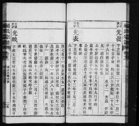安徽杨氏族谱-杨氏宗谱 [30卷首1卷].pdf电子版插图2