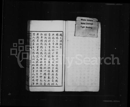 安徽杨氏族谱-芜湖杨氏宗谱.pdf电子版插图2