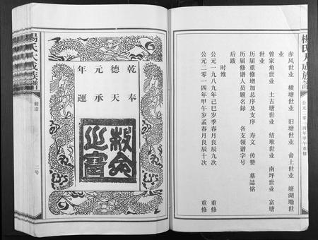 江西杨氏族谱-杨氏大成族谱.pdf电子版插图2