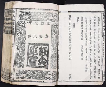 江西杨氏族谱-杨氏大成族谱[不分卷].pdf电子版插图2