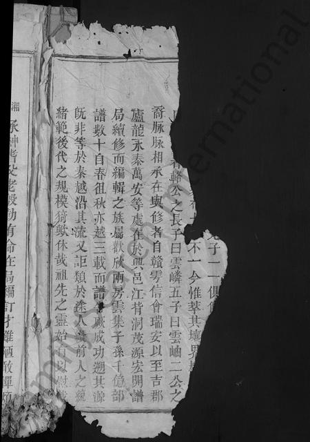 江西杨氏族谱-杨氏续修族谱 [不分卷].pdf电子版插图2