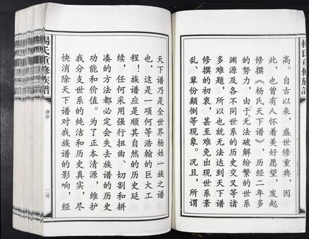 江西杨氏族谱-杨氏重修族谱[不分卷].pdf电子版插图2