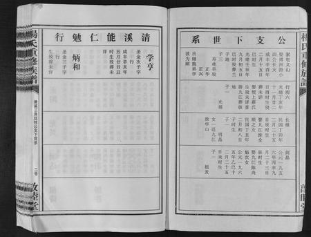 江西杨氏族谱-杨氏重修族谱[不分卷].pdf电子版插图2