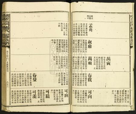 江西杨氏族谱-瑞金西门杨氏七修族谱.pdf电子版插图2