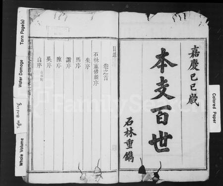 安徽叶氏族谱-石林叶氏宗谱 [5卷,首1卷].pdf电子版插图2