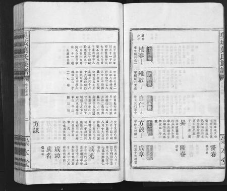 江西叶氏族谱-吴城叶氏宗谱 [不分卷].pdf电子版插图2