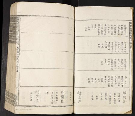 江西叶氏族谱-赣南吉叶氏联修族谱.pdf电子版插图2