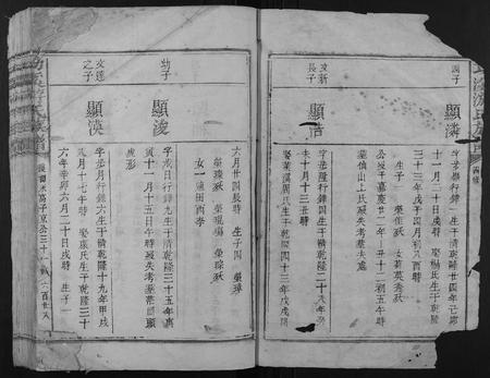 江西游氏族谱-功溪游氏族谱.pdf电子版插图2
