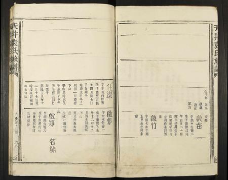 江西袁氏族谱-天井袁氏族谱.pdf电子版插图2