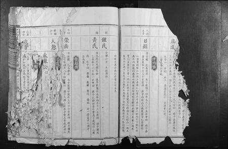 江西袁氏族谱-定南潭庆袁氏四修族谱.pdf电子版插图2