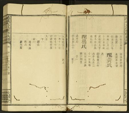江西袁氏族谱-万载袁氏重修族谱 [残卷].pdf电子版插图2