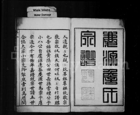 安徽詹氏族谱-庆源詹氏宗谱 [24卷].pdf电子版插图2