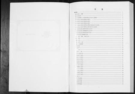 江西詹氏族谱-中华詹氏.pdf电子版插图2