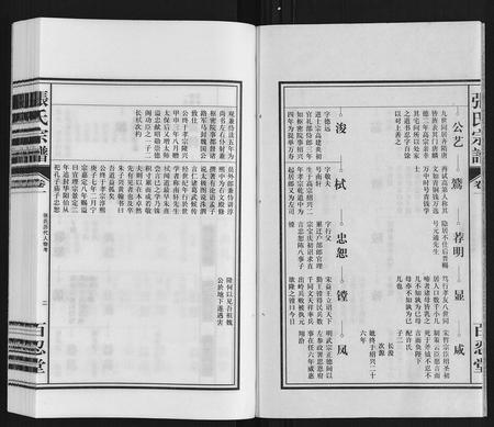 安徽张氏族谱-张氏宗谱.pdf电子版插图2